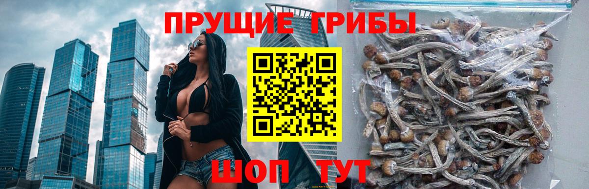 Галлюциногенные грибы прущие грибы Казань